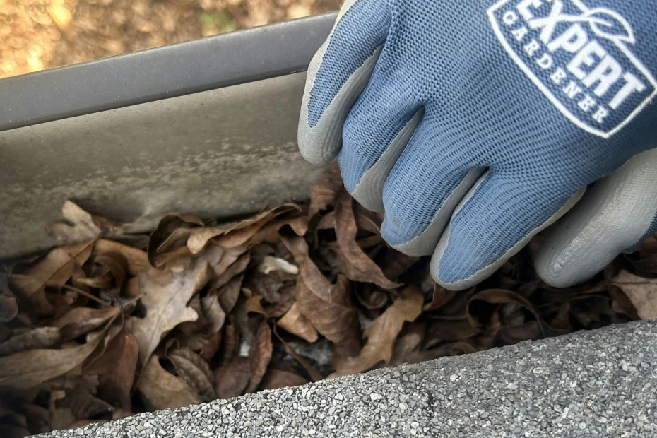 Gutter Cleaning Vincent